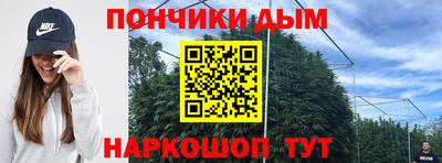 прущие крисы Краснознаменск